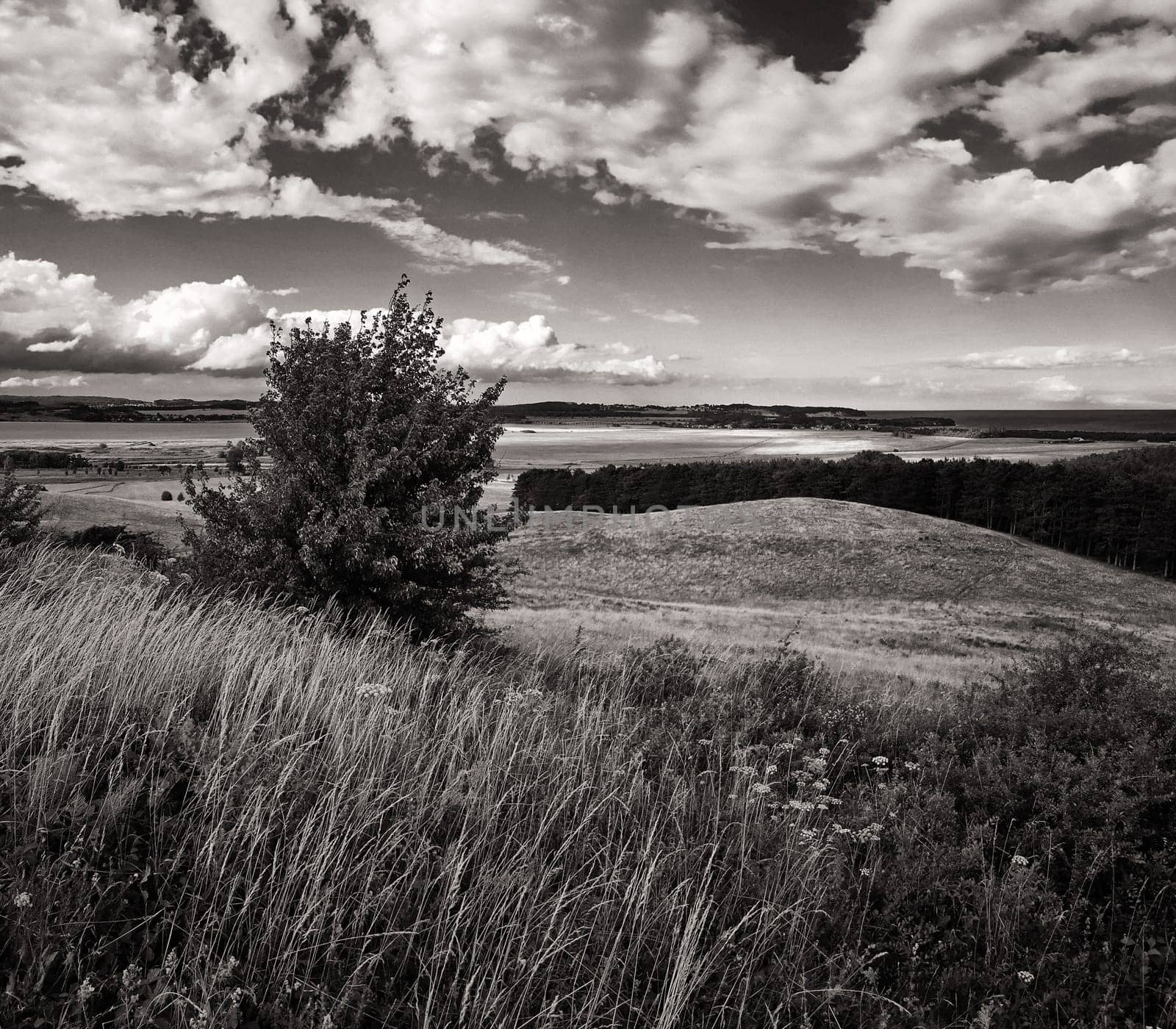 Mönchguter Boddenlandschaft bei Groß Zicker, Insel Rügen am Greifswalder Bodden
