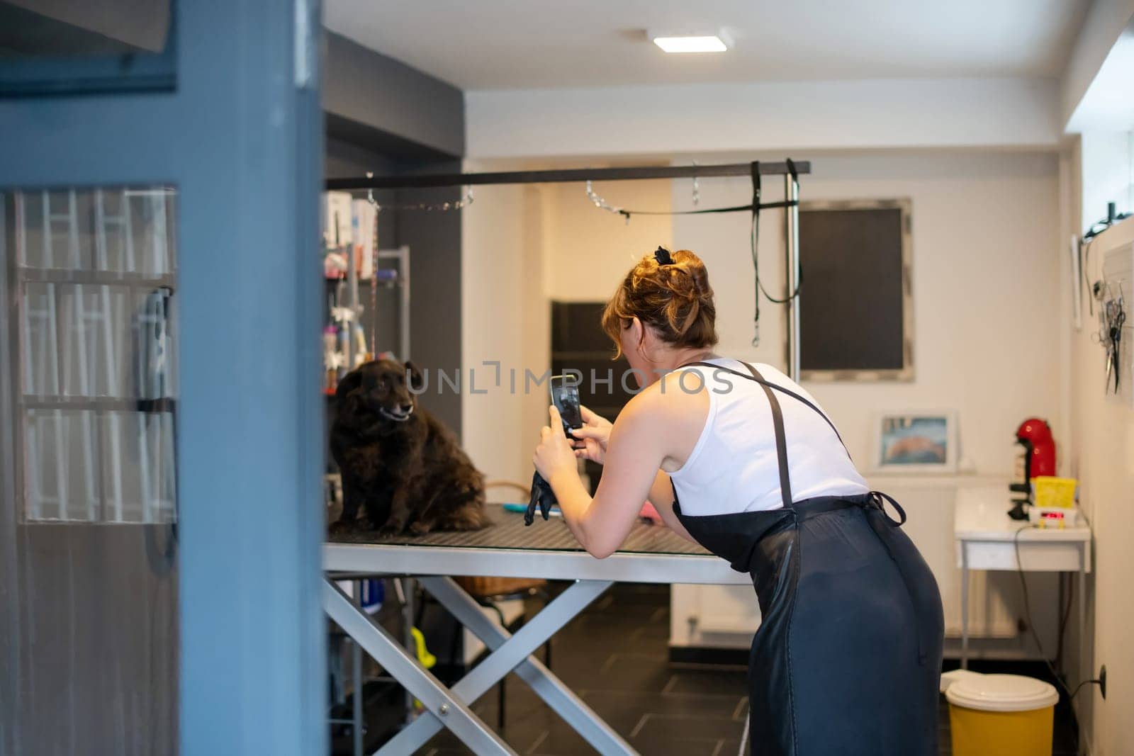professional pet hairdresser hipster woman with tattoos using a mobile phone while taking pictures of cute black dog in beauty salon for animals