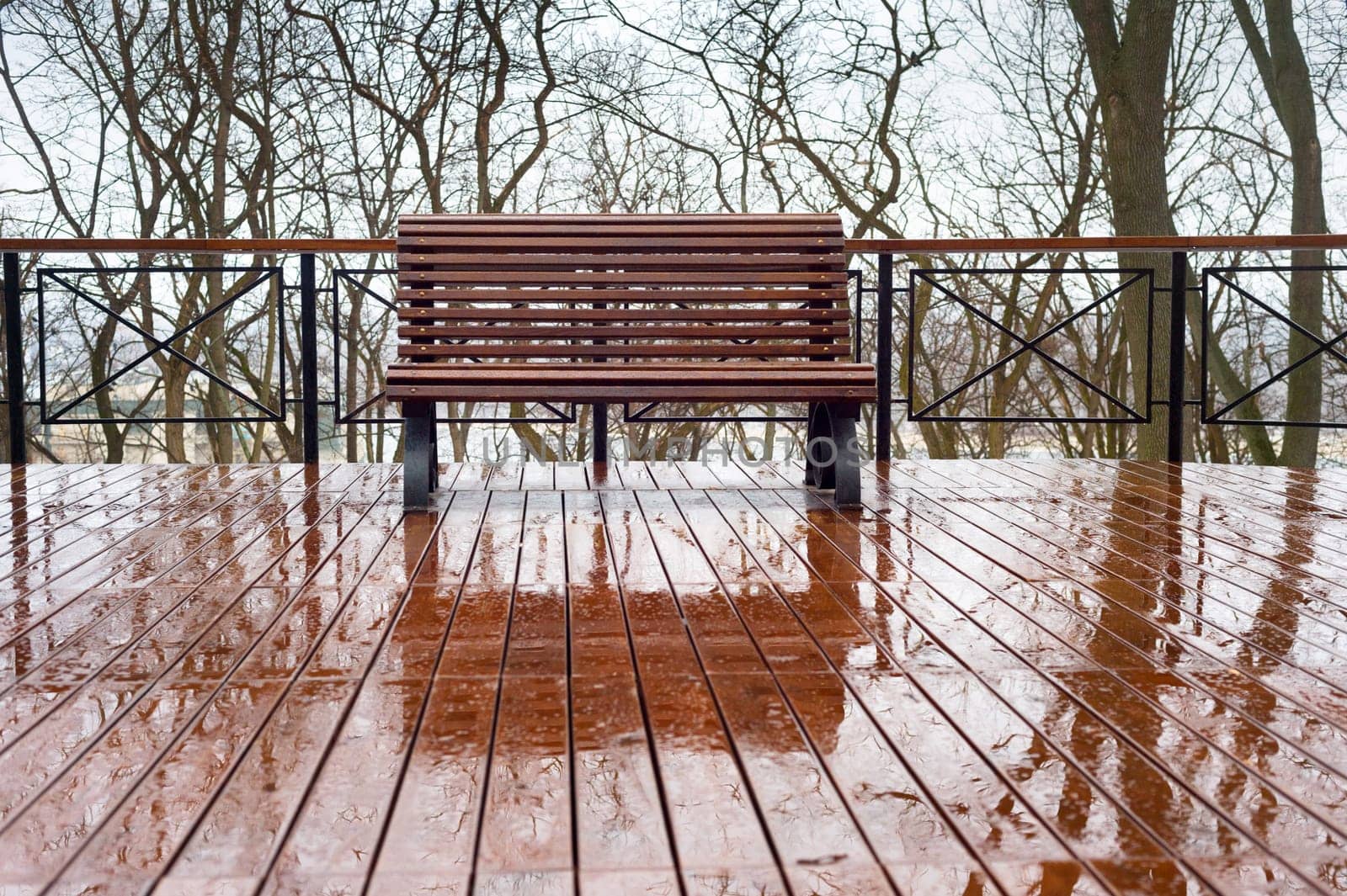 Empty bench in the rain at a park. Kiev, Ukraine