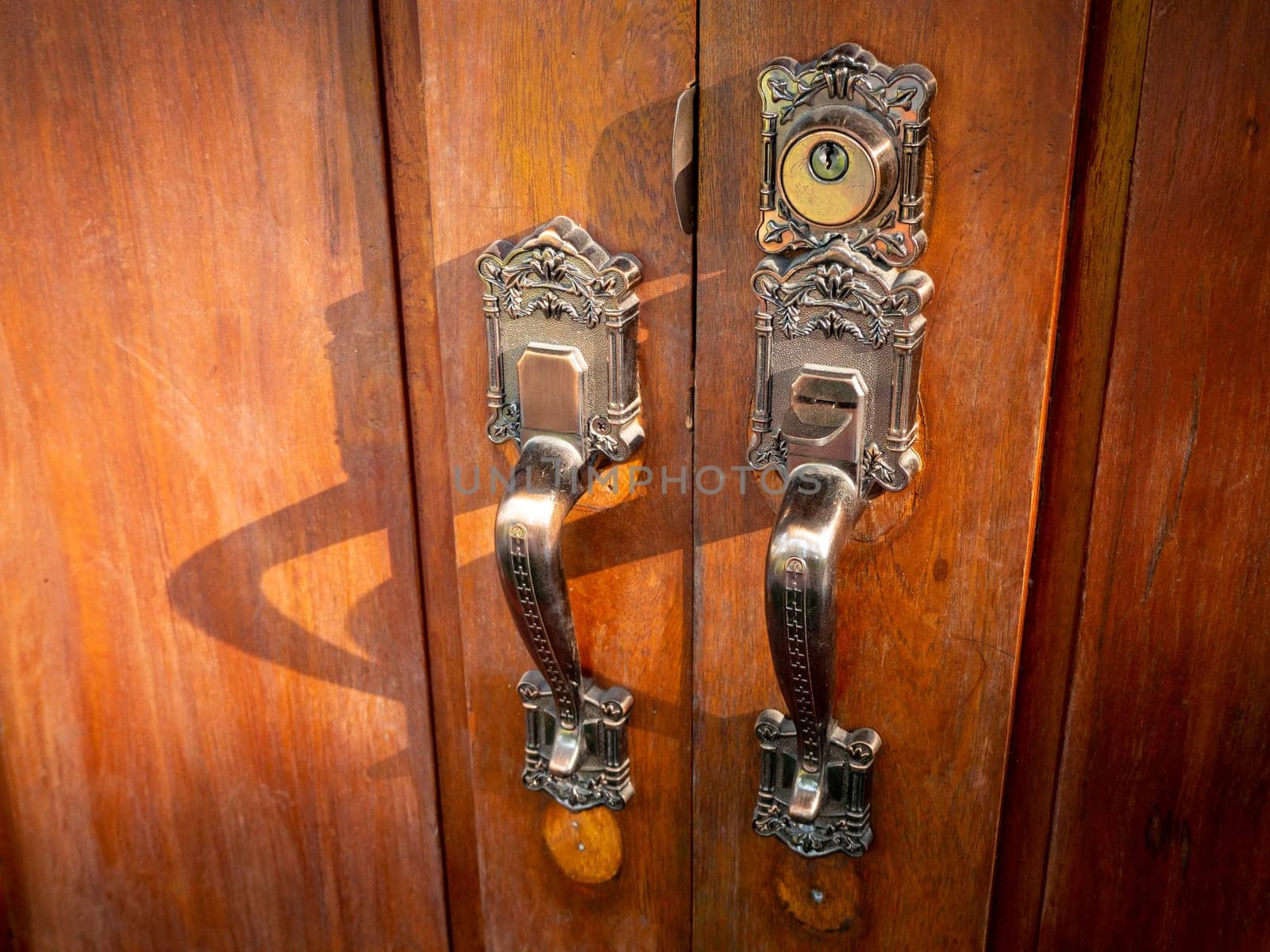 vintage door View to brown wooden enterance