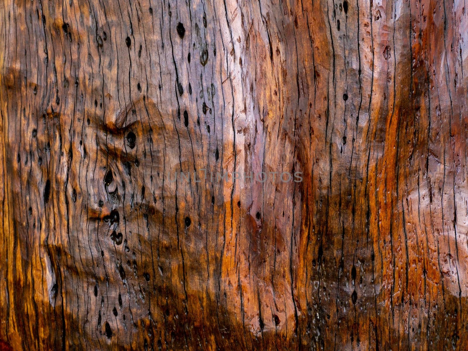 Brown wood texture. Abstract for background, empty template
