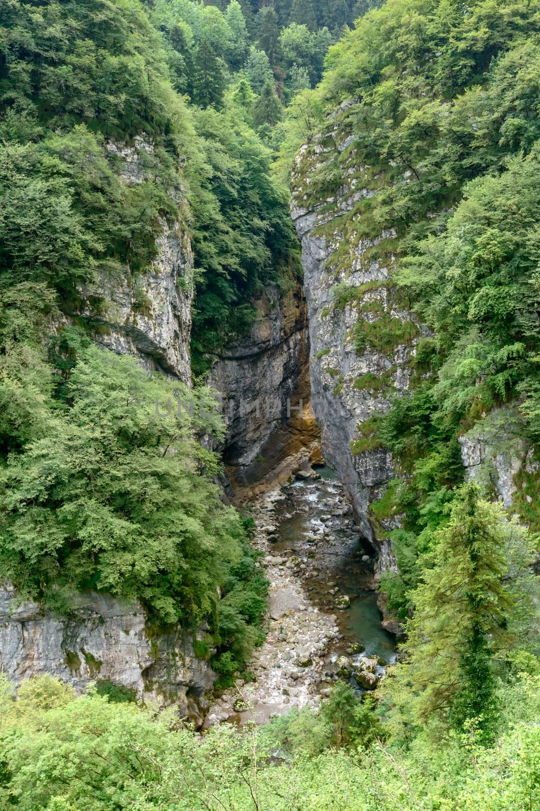 Dezzo creek under steep rock cliffs and lush vegetation of mountain ravine, shot in bright summer light at Via Mala, Scalve canyon, Colere, Bergamo, Orobie, Lombardy, Italy.
