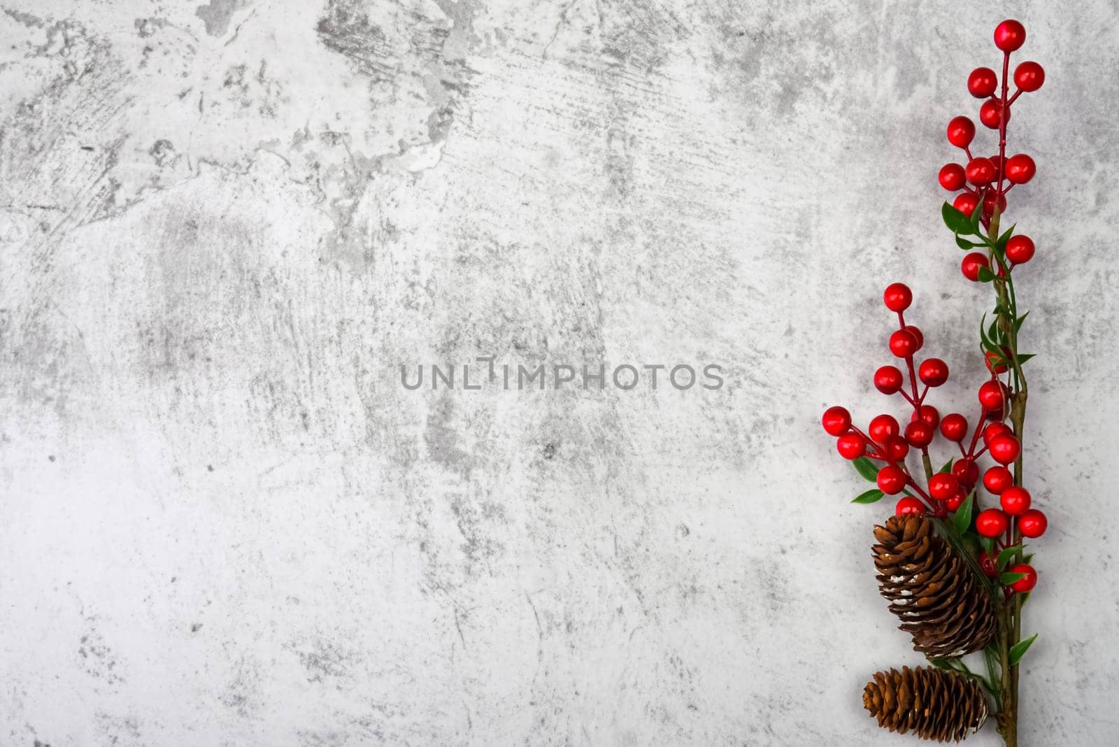Background a branch with berries and cones on a textured plastered wall. For product demonstrations, free space, layout, mockup, perspective board, background board.