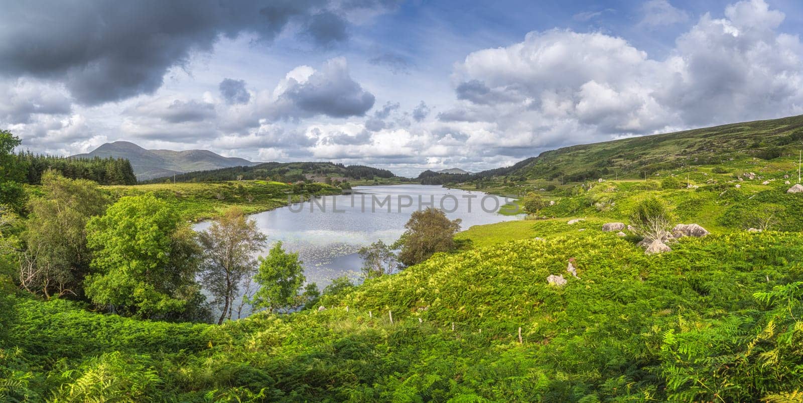 Large panorama with beautiful lake, Looscaunagh Lough, surrounded by green ferns and hills of Molls Gap, MacGillycuddys Reeks, Ring of Kerry, Ireland