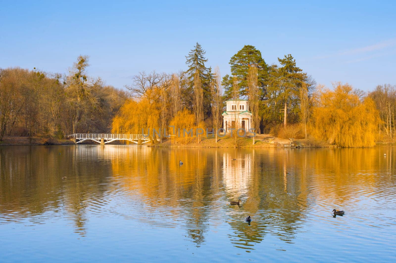 Ducks in a lake of Sophia National Park in the spring at sunset. Famous tourist destination. Uman, Ukraine