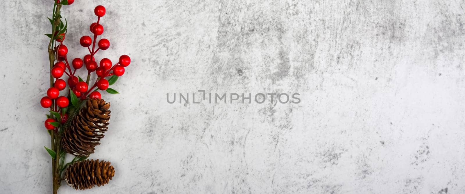 Background a branch with berries and cones on a textured plastered wall. For product demonstrations, free space, layout, mockup, perspective board, background board.