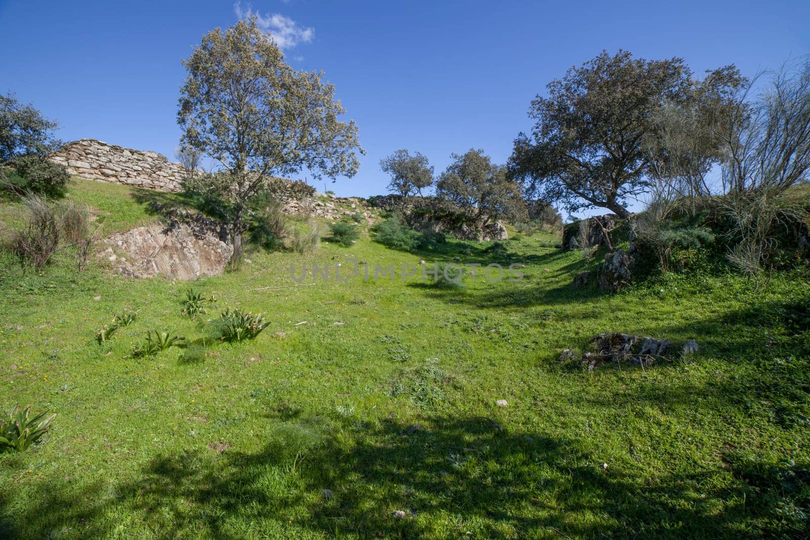 Tamusia archaeological site, Botija, Caceres, Extremadura. Moat. Western Hispano-Celtic hillfort of Vettonian people