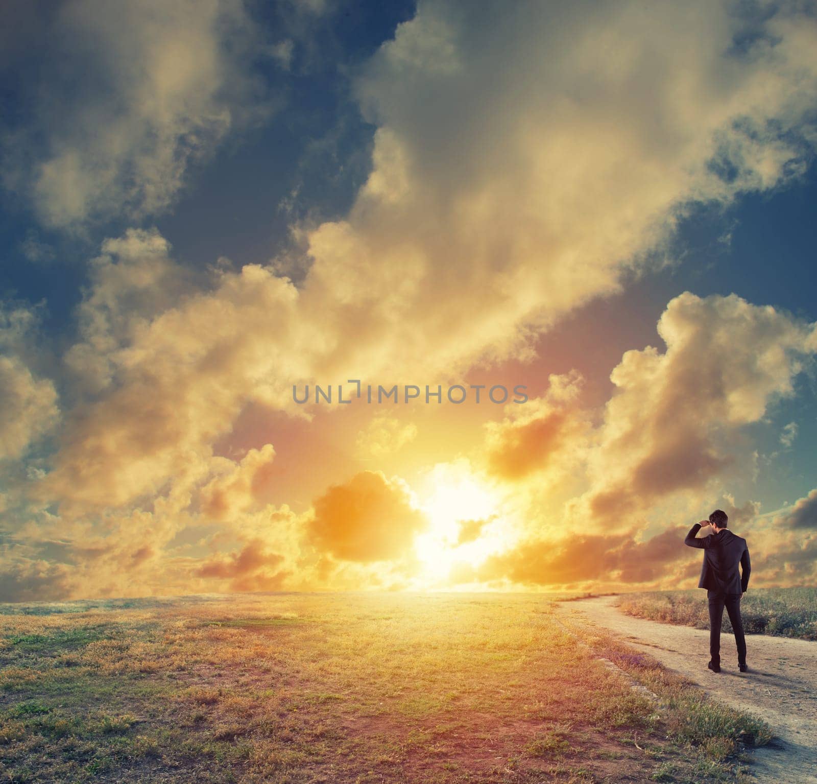 Businessman in a field looks far for new business during sunrise