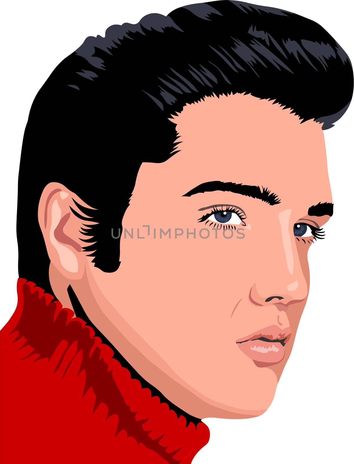elvis presley singer king celebrity illustration