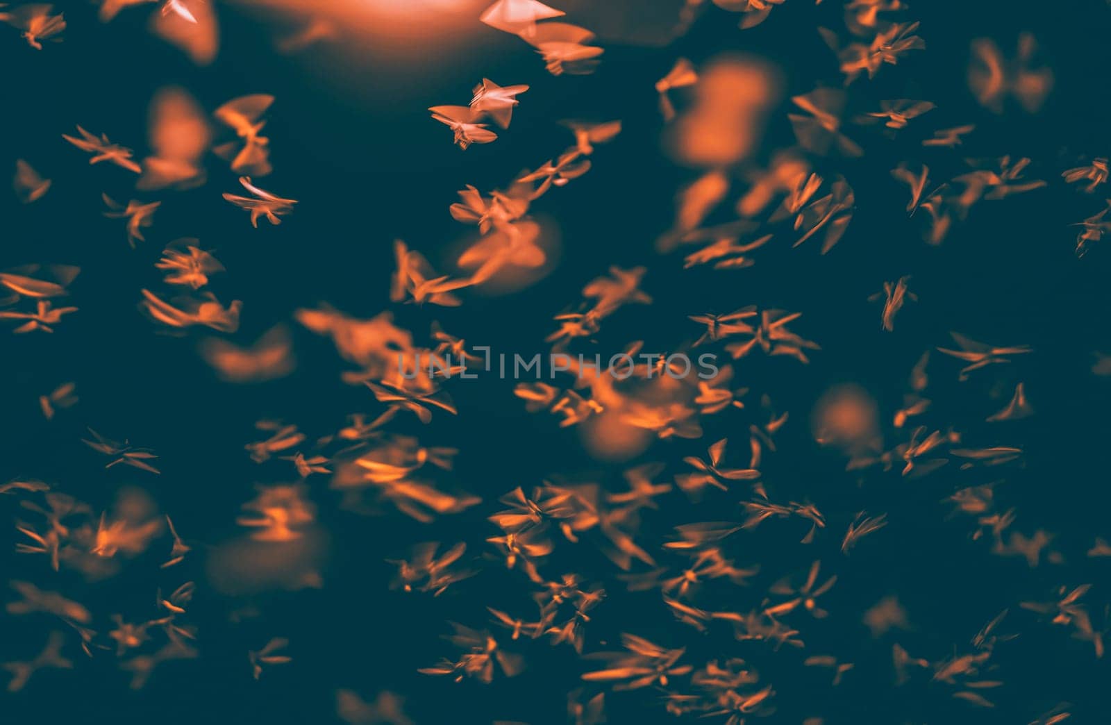 Abstract, creative motion blur background of flying insects in the night.