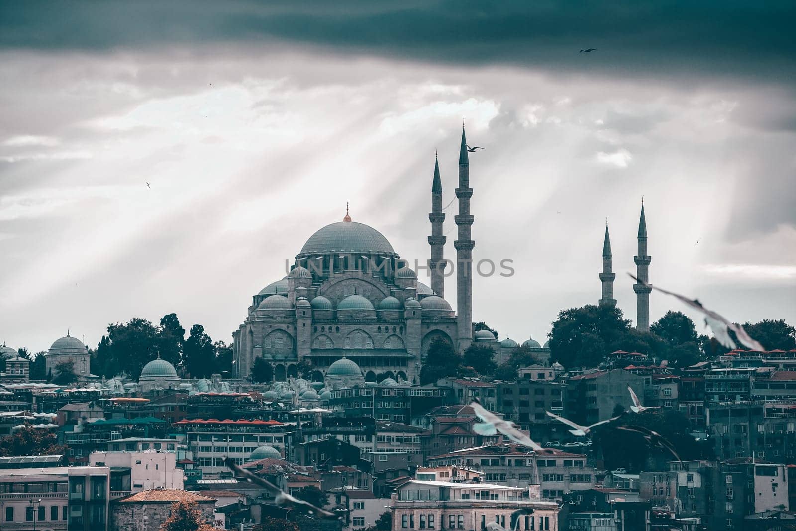 Istanbul cityscape with Suleymaniye Mosque, Turkey