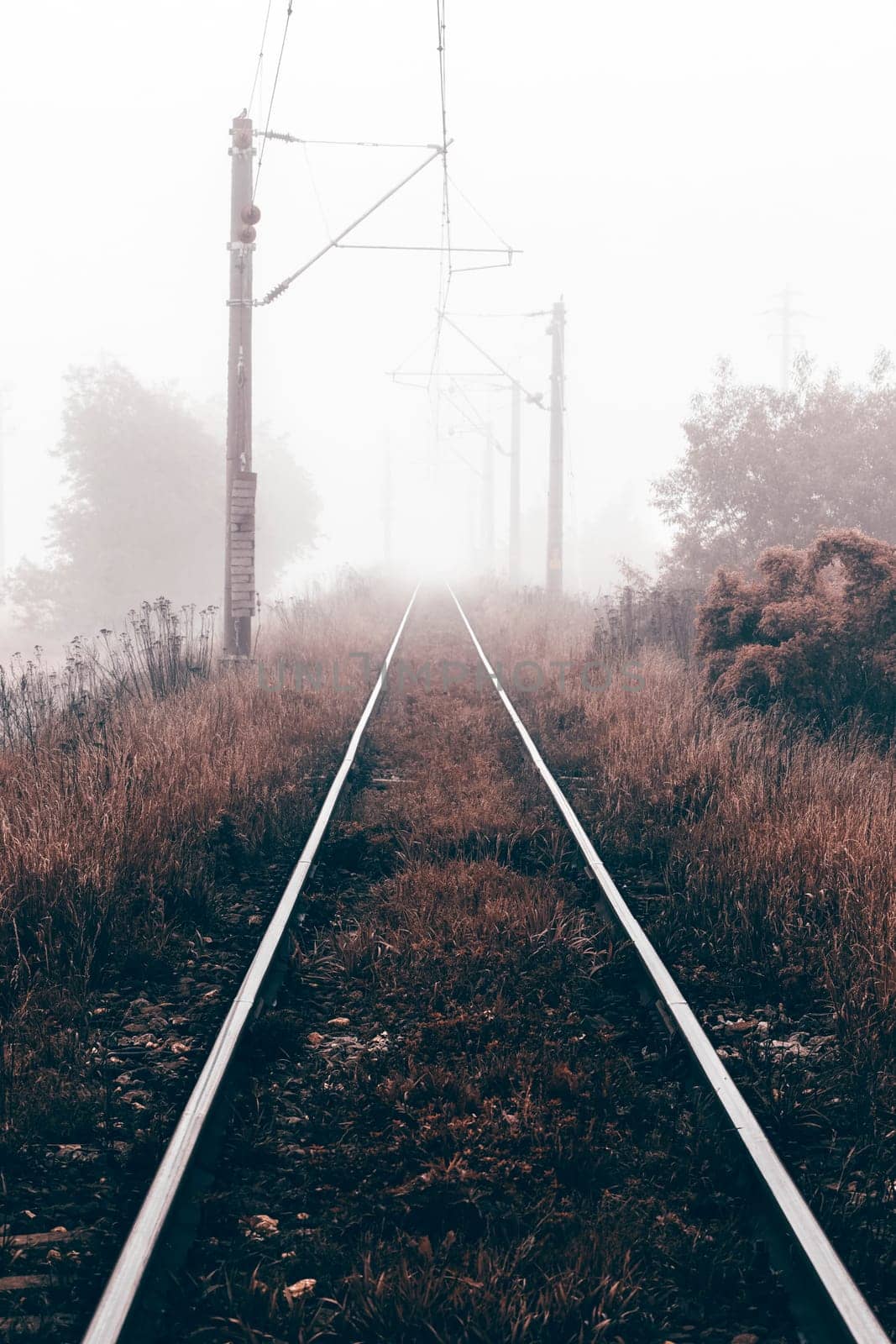 Railroad track in a thick white fog