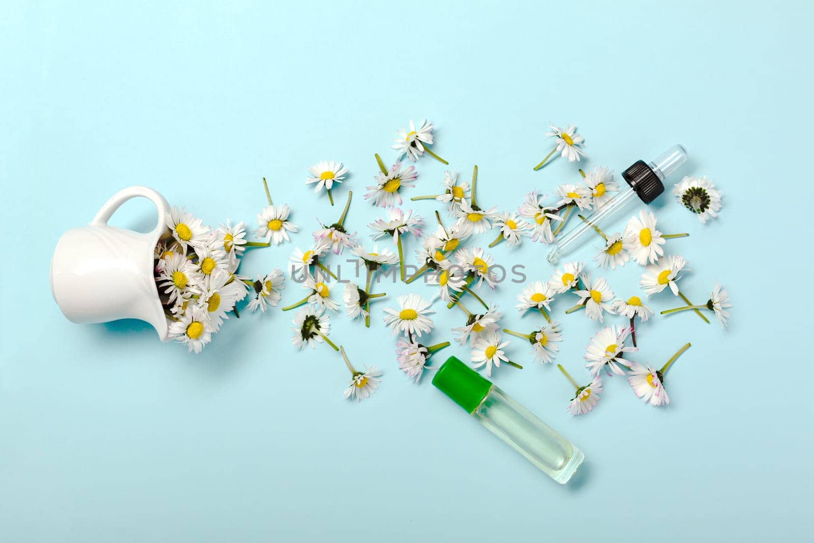 Creative flat lay on pastel blue background. Daisy flowers and perfume container. From above. Concept of cosmetic industry. Copy space for your text.