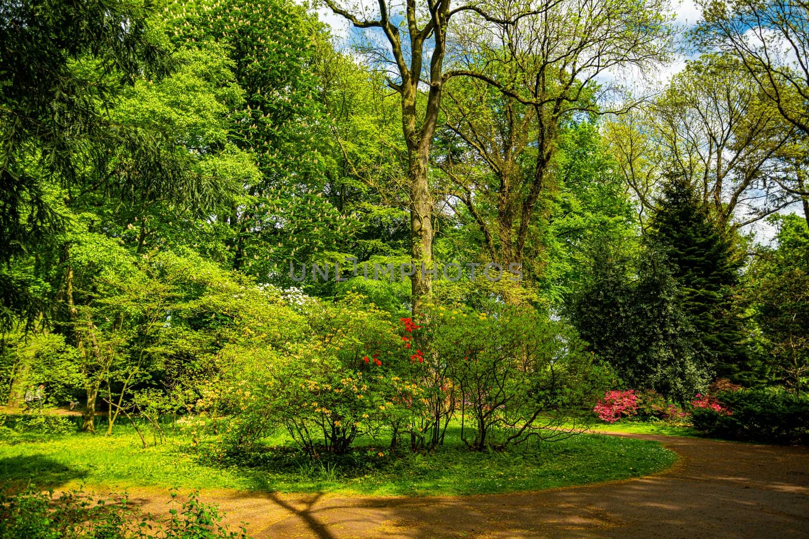 Beautiful Garden with blooming trees during spring time