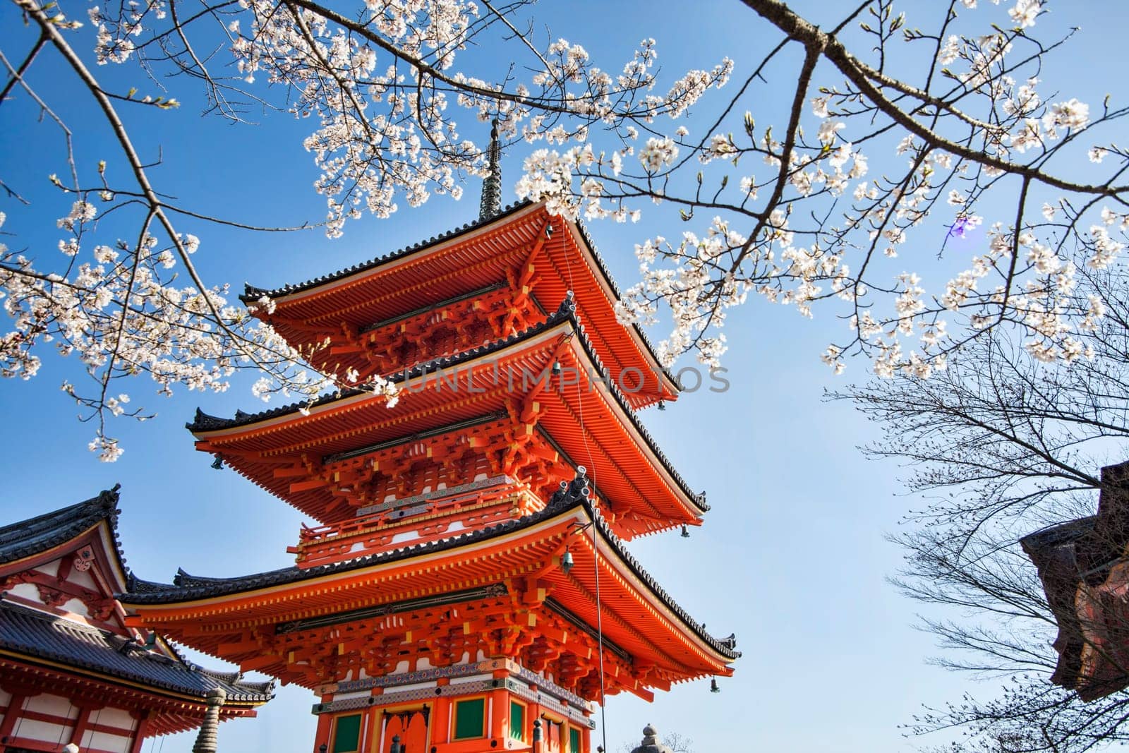Kyoto, Japan - March 28, 2015