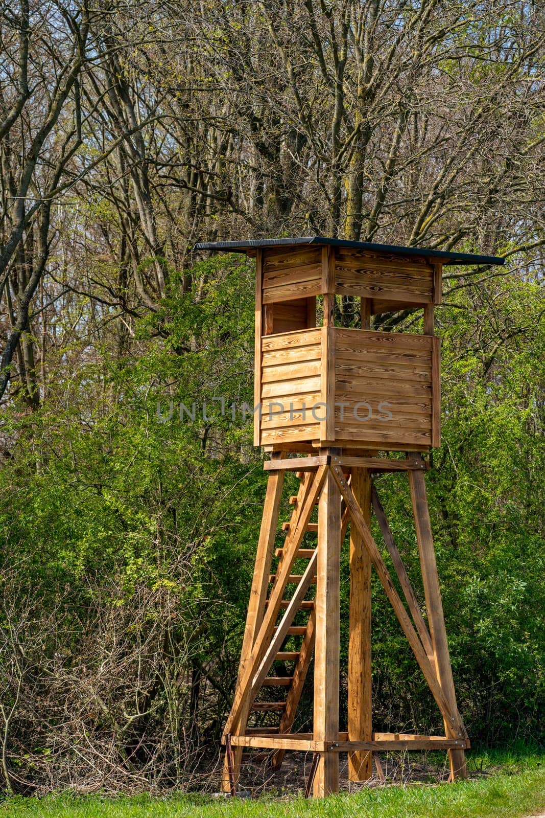 Hunter house in forest. Wooden Hunting Lodge