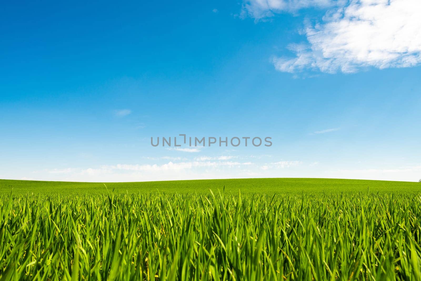 Green hill with dreamy clouds and blue sky in the background.