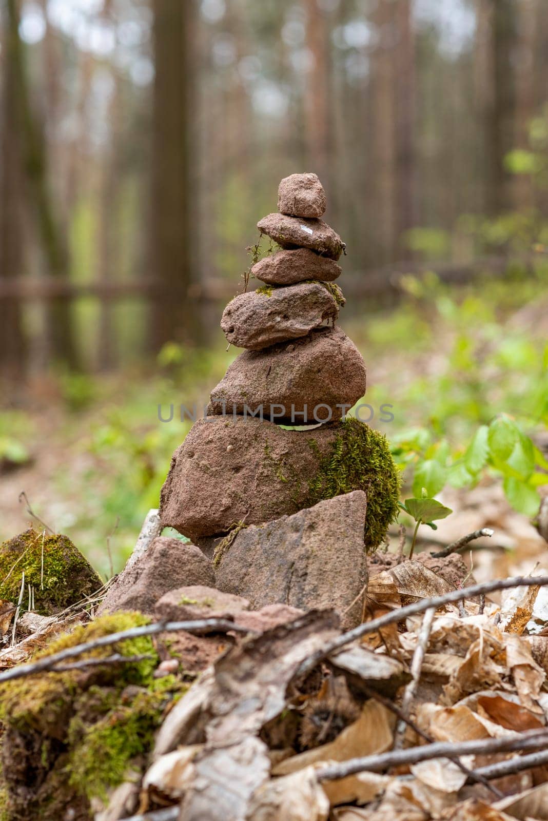 Signpost of sandstones placed on the forest floor with autumn leaves against a blurred background