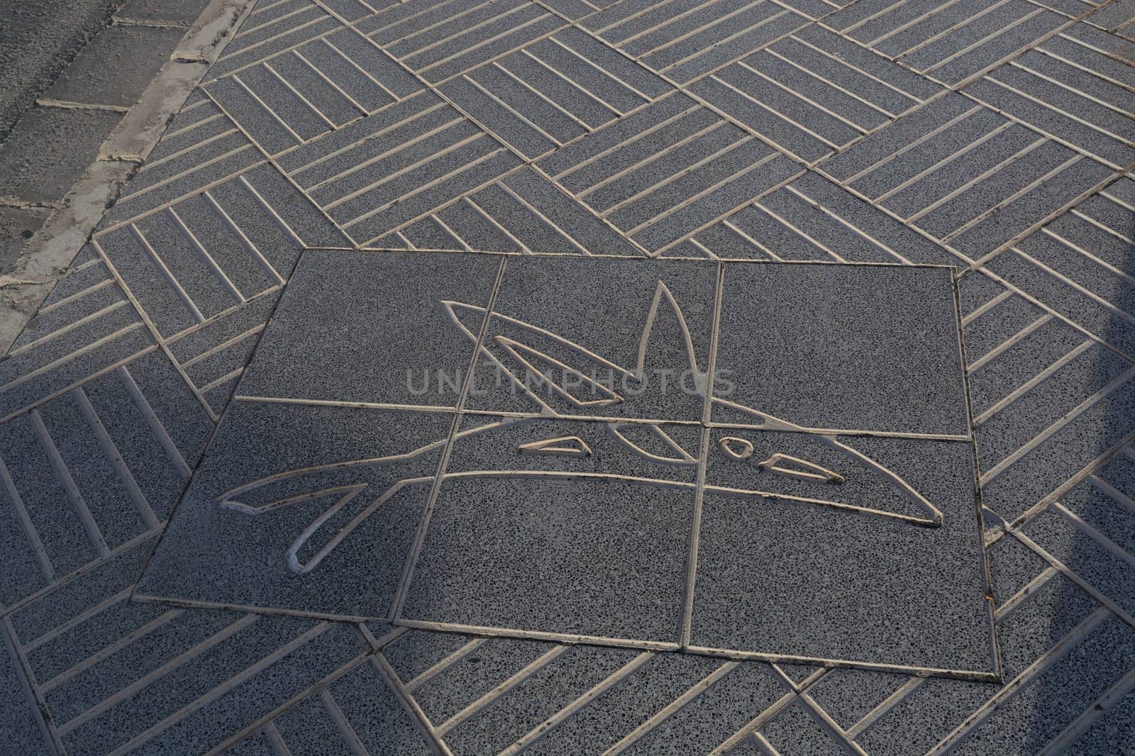 Stone slab on a sidewalk with a picture of a dolphin