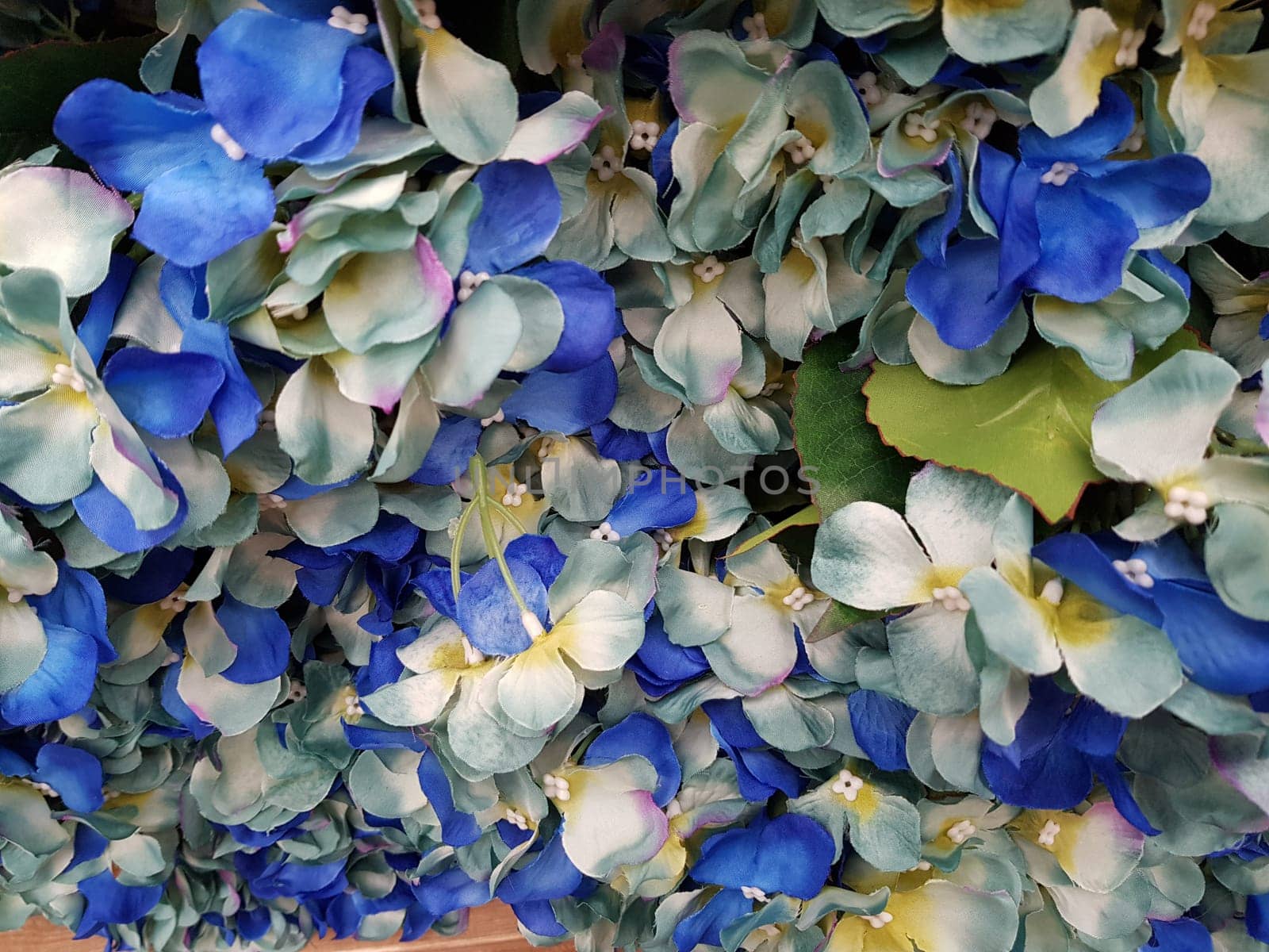 Beautiful flowers background. Abstract background of flowers