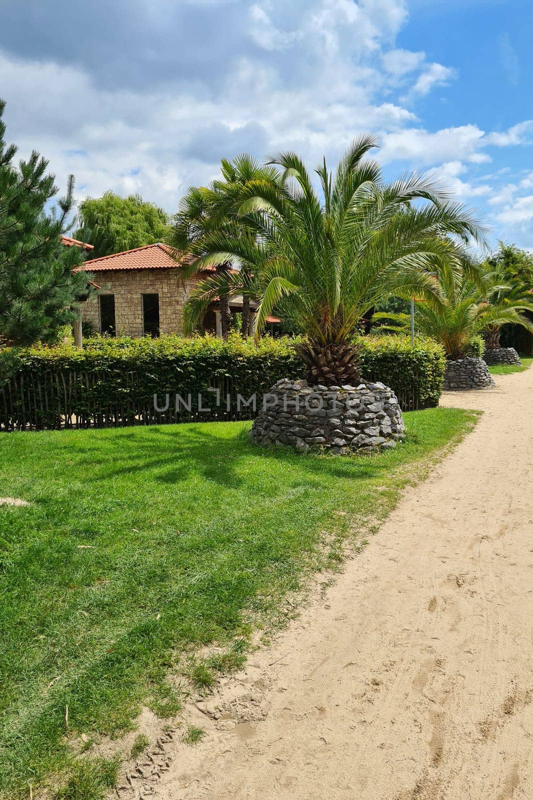 Park palm garden with Mediterranean villa