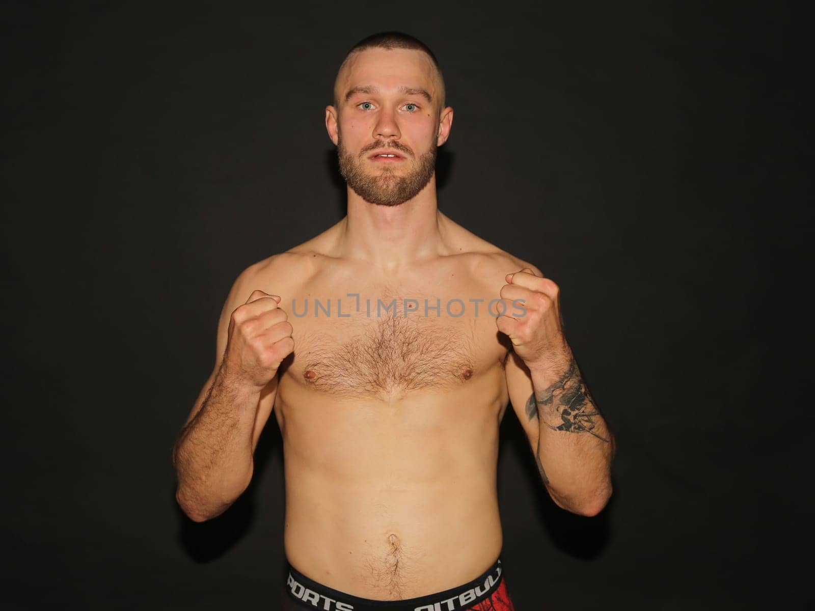 Niklas Stolze german MMA Fighter martial arts