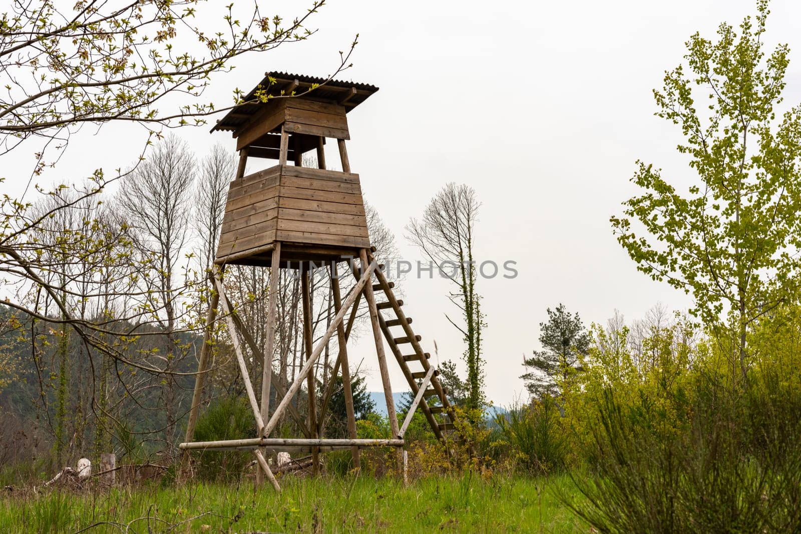Wooden Huntsman high seat at the edge of the forest in front of a meadow with light background