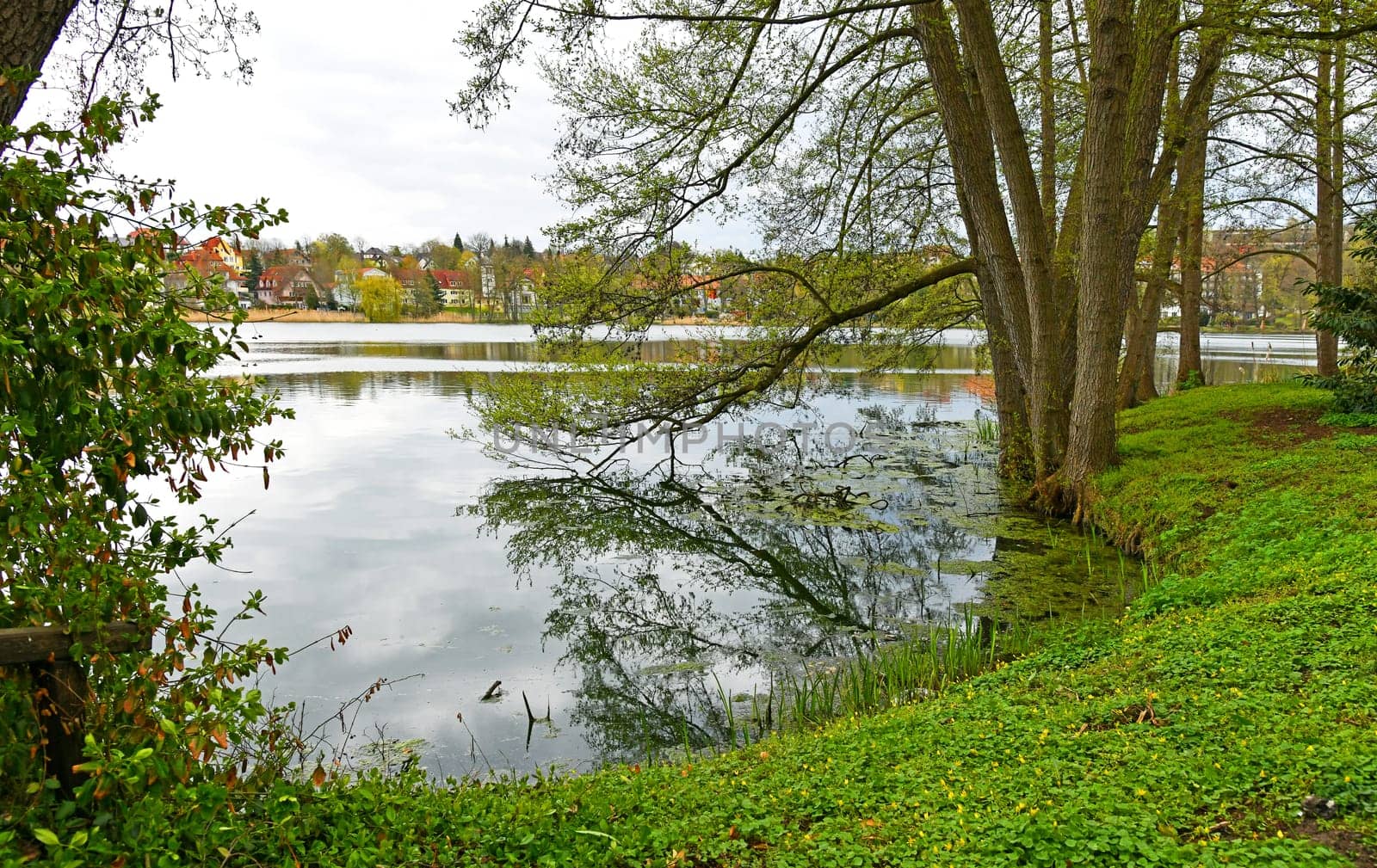 the Burgsee in Bad Salzungen
