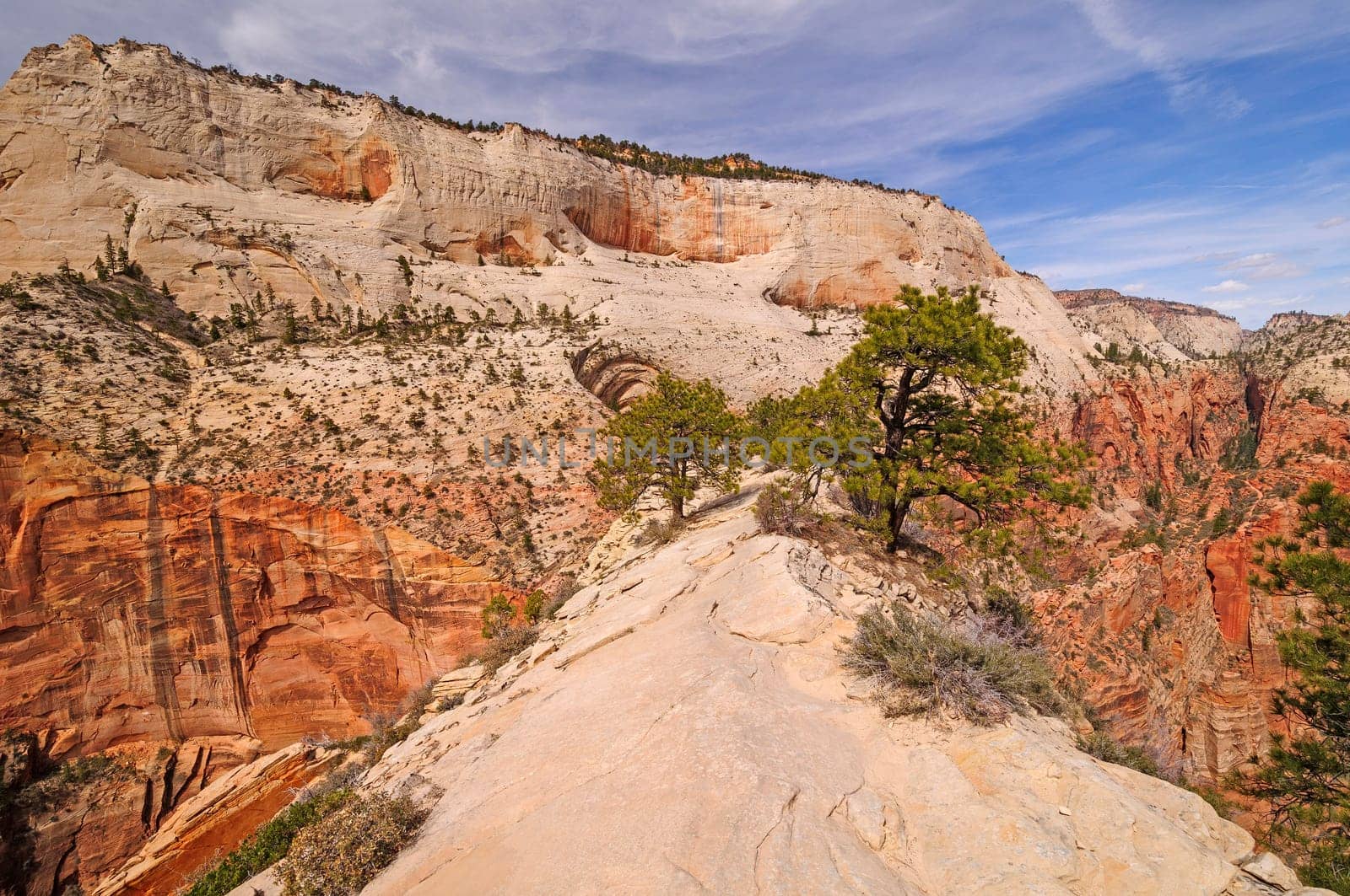 White Rock View From a White Rock Perch on Angels Landing in Zion National Park in Utah