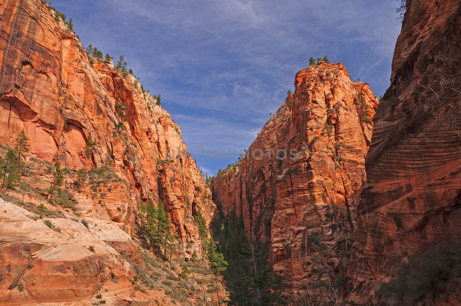 Deep in Refrigerator Canyon on the Angels Landing Trail in Zion National Park in Utah