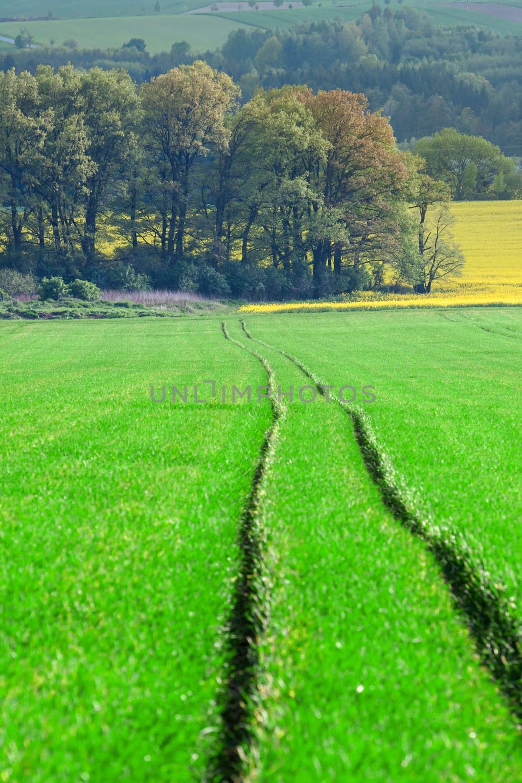 Idyllic rural view of beautiful farmland in the beautiful surroundings of the Iron Mountains, Czech Republic