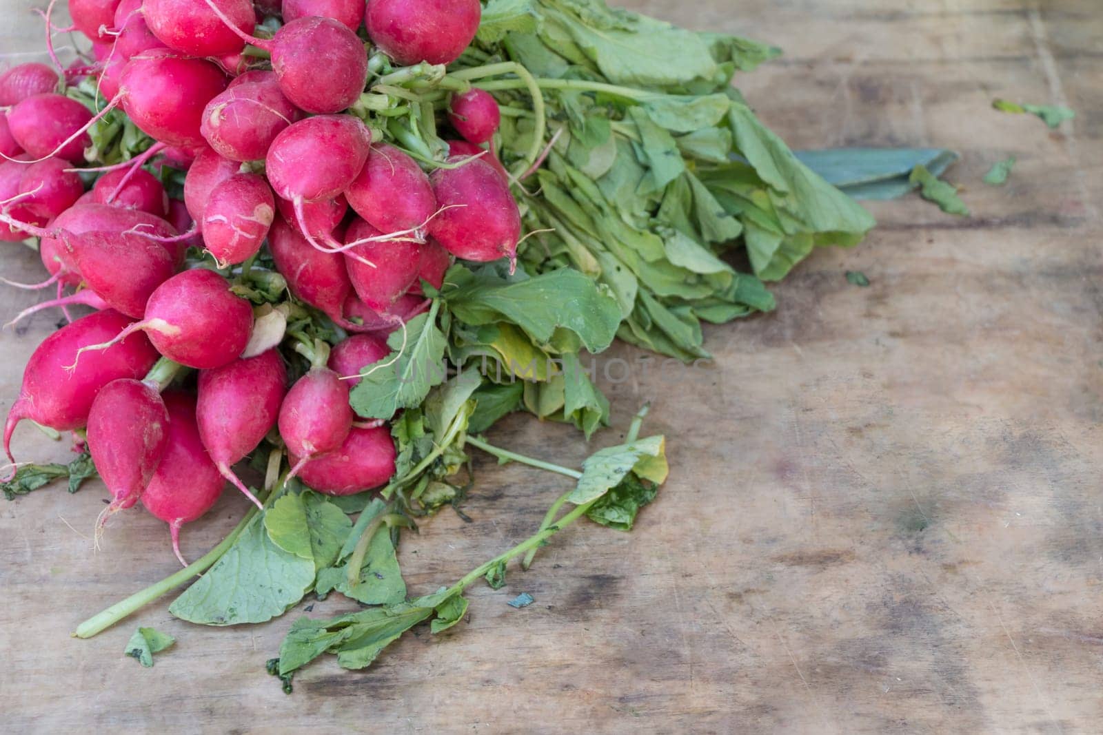 Group of raw organic nature food from gardening farming at thanksgiving. Delicious fresh agriculture vegetables in bio gourmet quality