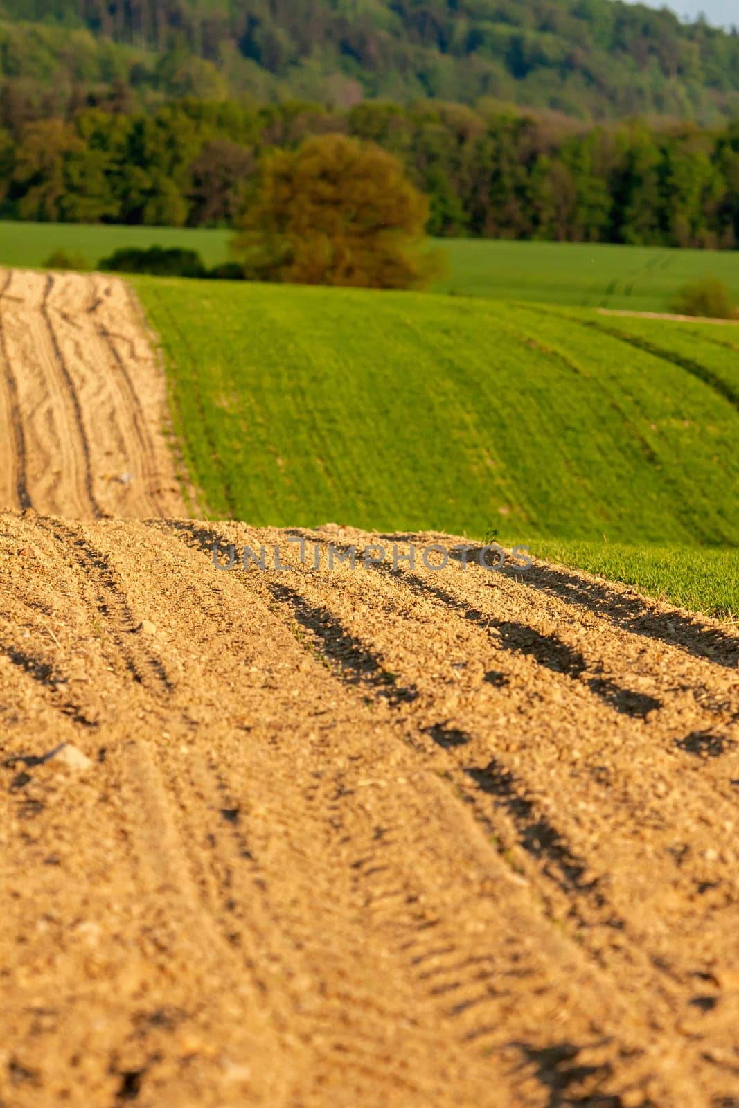 Idyllic rural view of beautiful farmland in the beautiful surroundings of the Iron Mountains, Czech Republic
