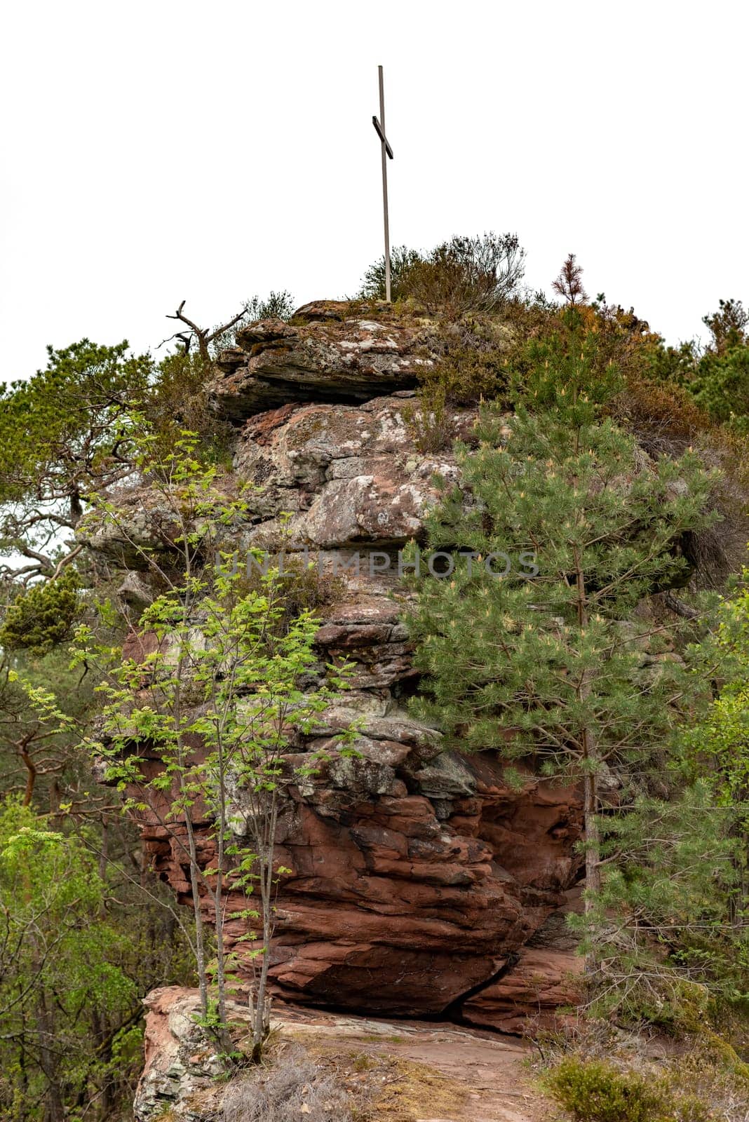 Hiking trail in Germany over a mountain with rocks trees and bushes isolated on white