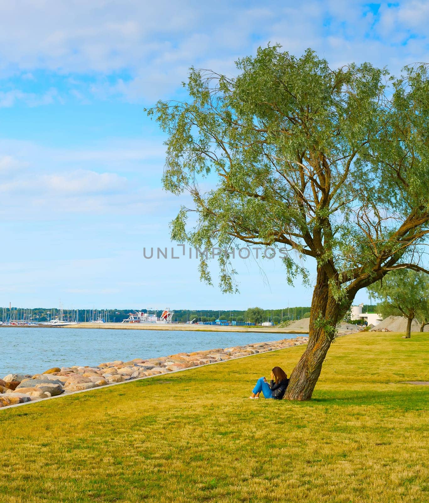 Woman read a book under the tree in a park near the sea. Tallinn, Estonia