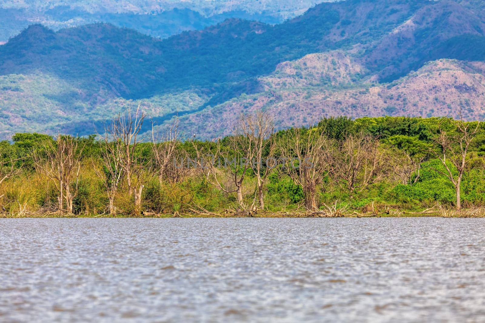 Chamo Lake natural biotope, landscape in the Southern Nations, Nationalities, and Peoples Region of southern Ethiopia. Africa Wilderness