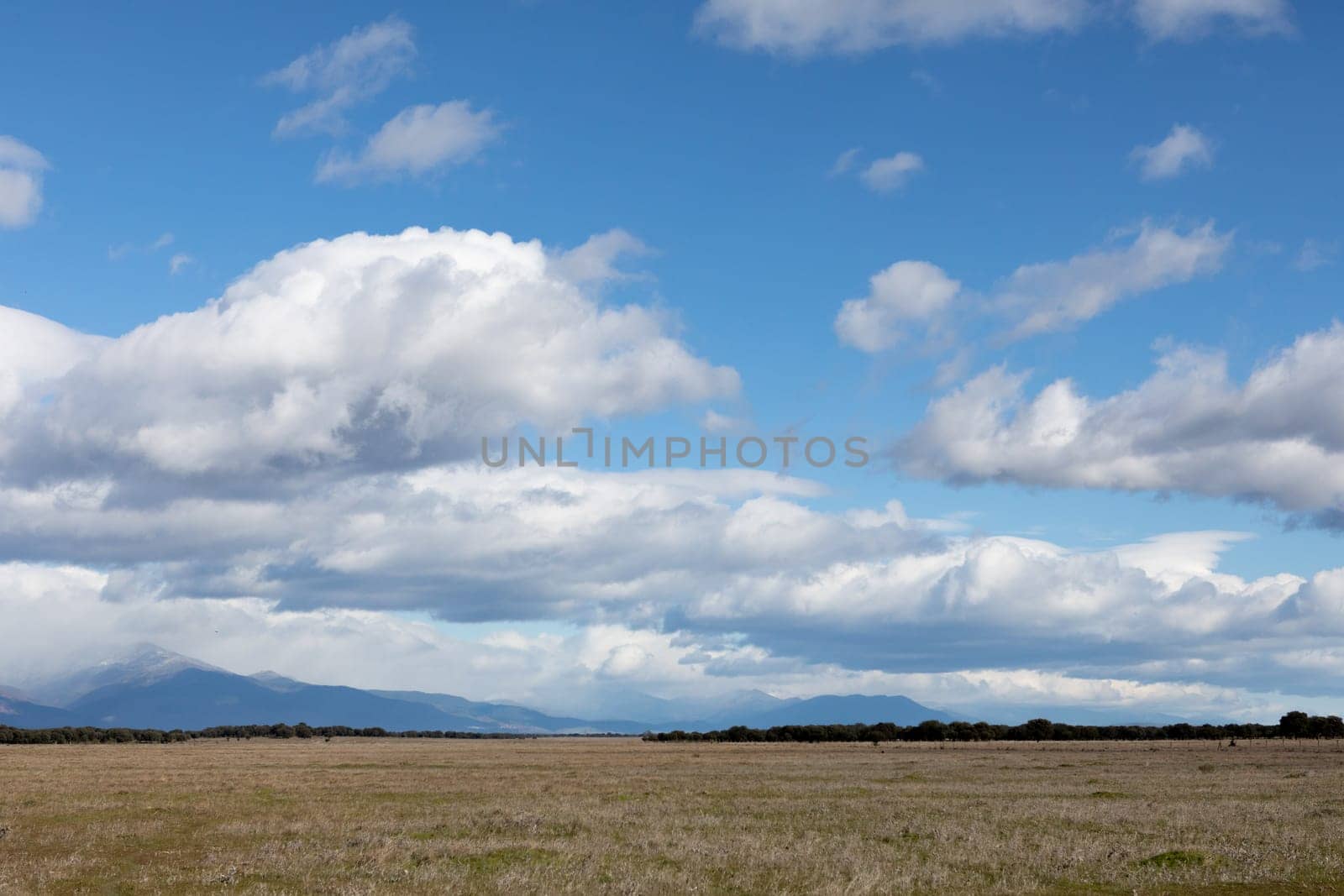 Beautiful clouds over a lonely meadow