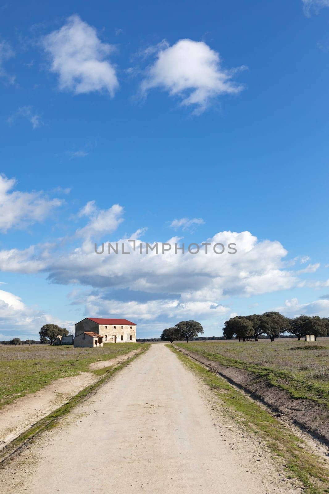 Lonely path on the middle of the countryside below a beautiful sky