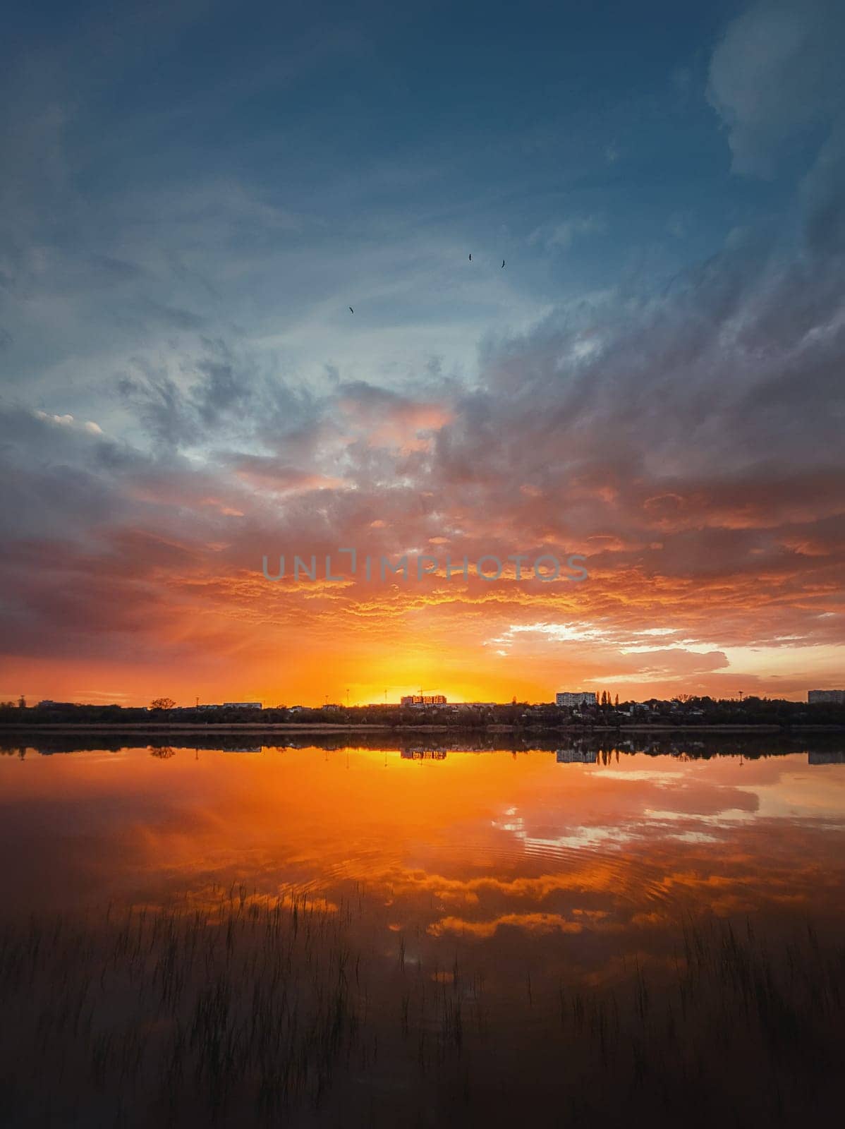 Fascinating sunset reflecting on the lake surface. Idyllic landscape, vertical background. Silent and tranquil evening scene with colorful sky, reed vegetation in the pond and a city at the horizon