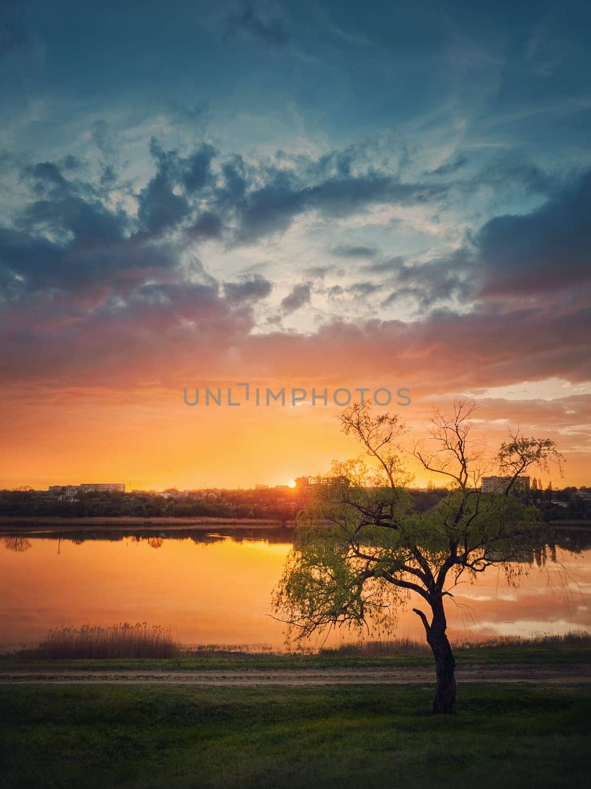 Idyllic rural landscape. Spring sunset reflecting over the lake and a greening willow tree on the meadow near the country road. Silent and tranquil evening scene, countryside background.