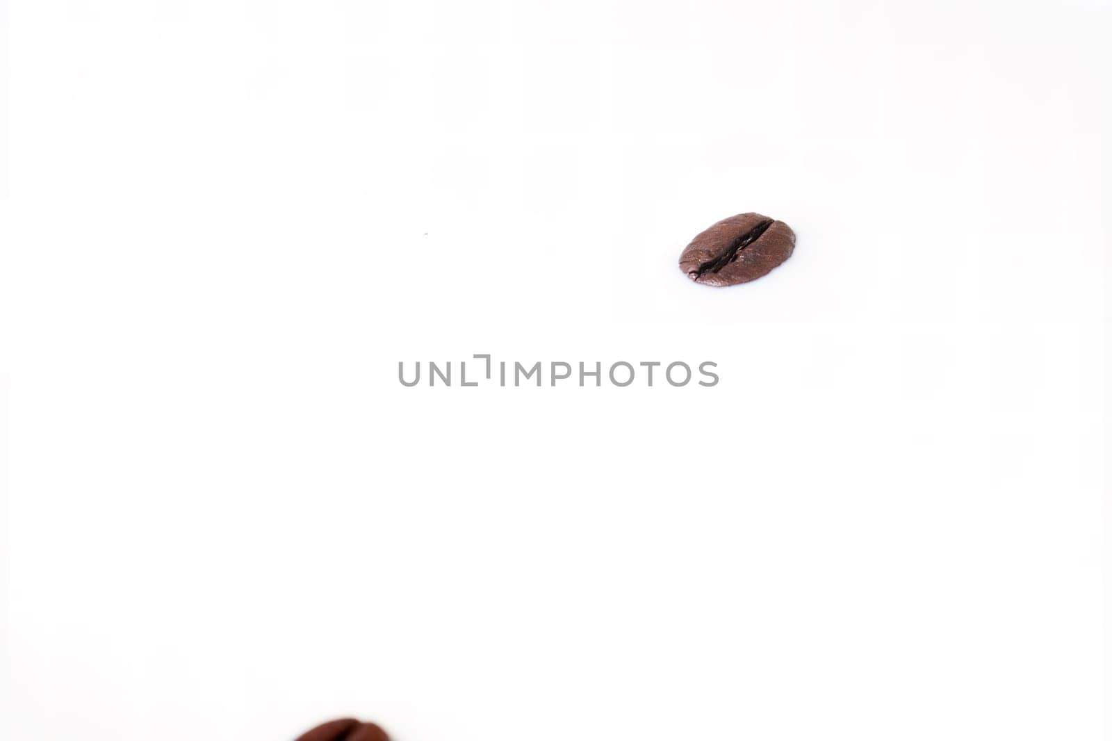 Coffee beans falling on the milk splash. Cup of milk. Concept photography.