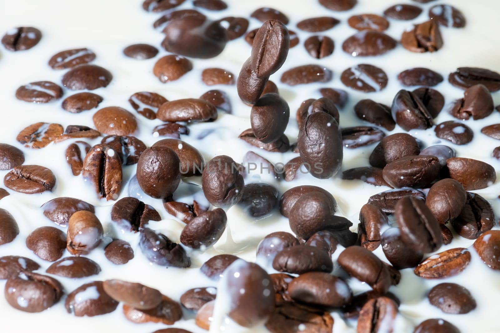 Coffee beans falling on the milk splash. Cup of milk. Concept photography.