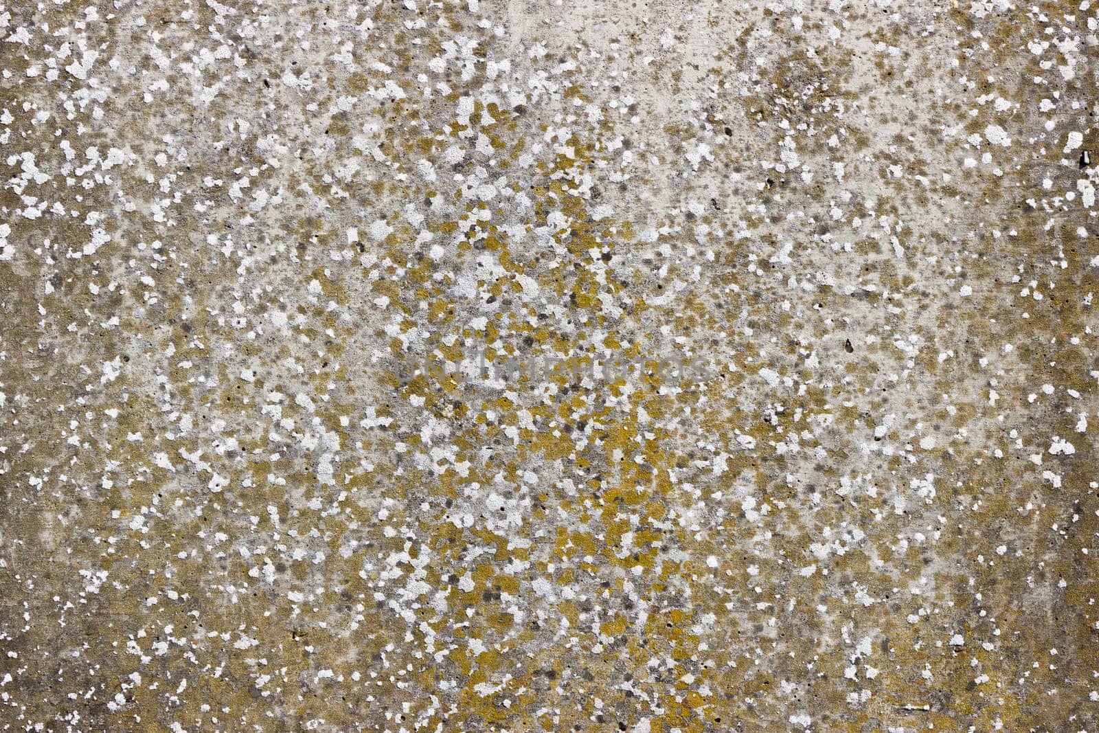 A flat grey concrete surface. The surface is textured and covered in light brown spots of lichen.