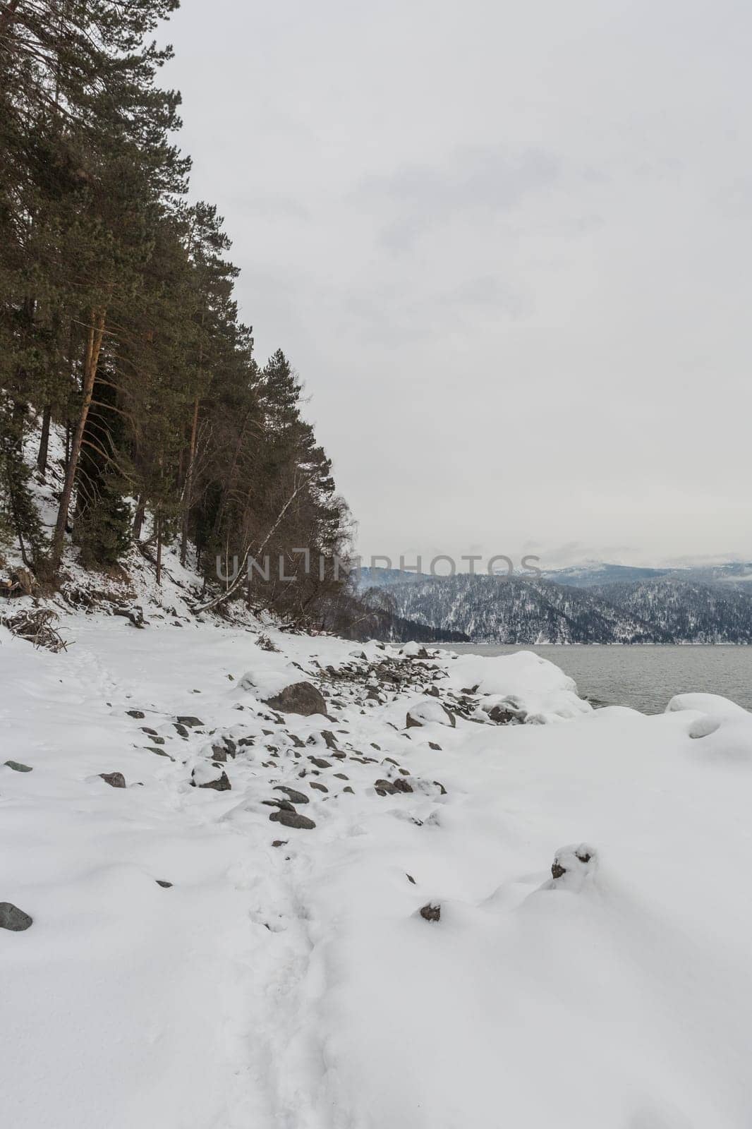 unfrozen Lake Teletskoye in winter. Russia Altai Krai.