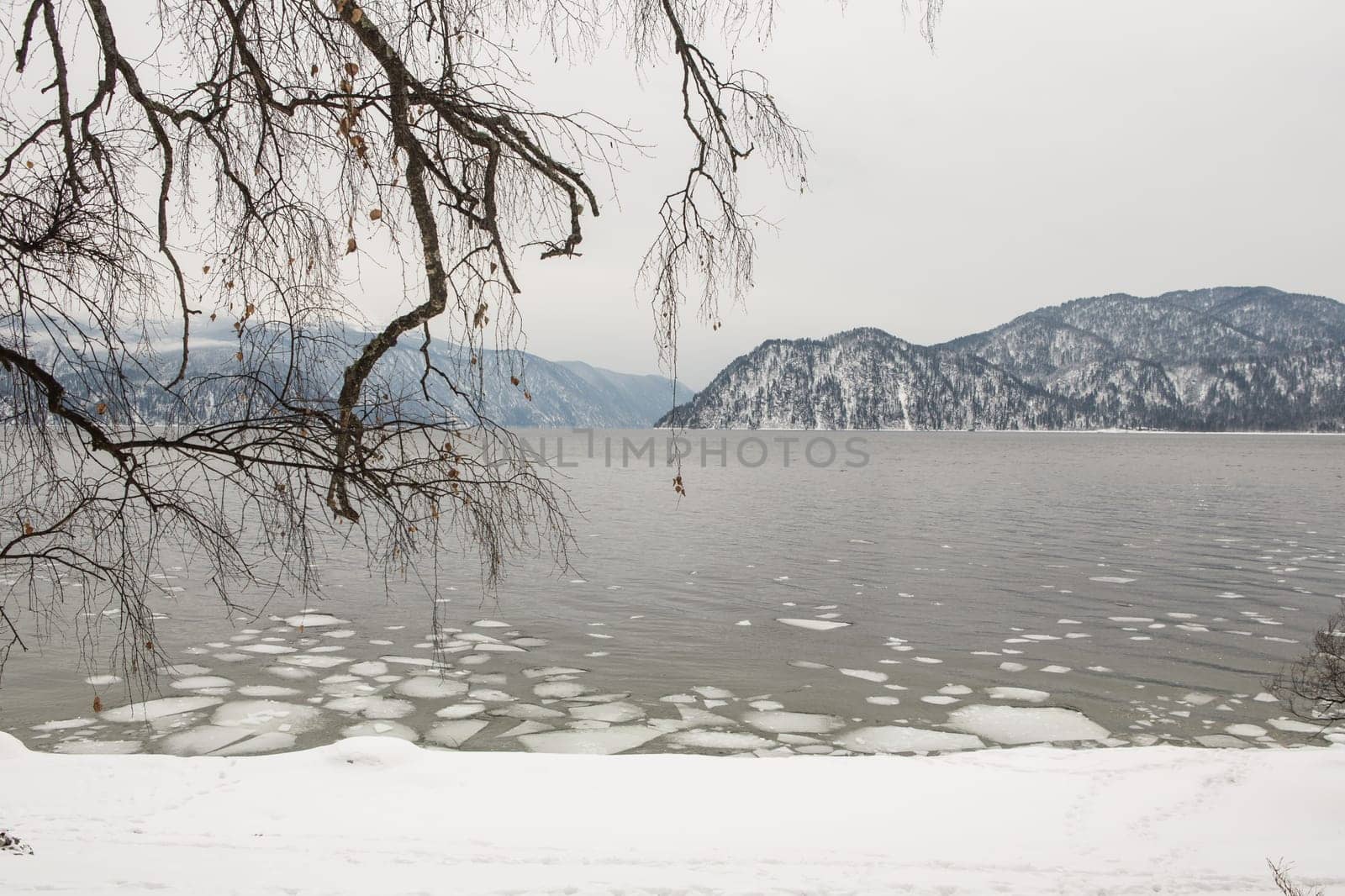 unfrozen Lake Teletskoye in winter. Russia Altai Krai.