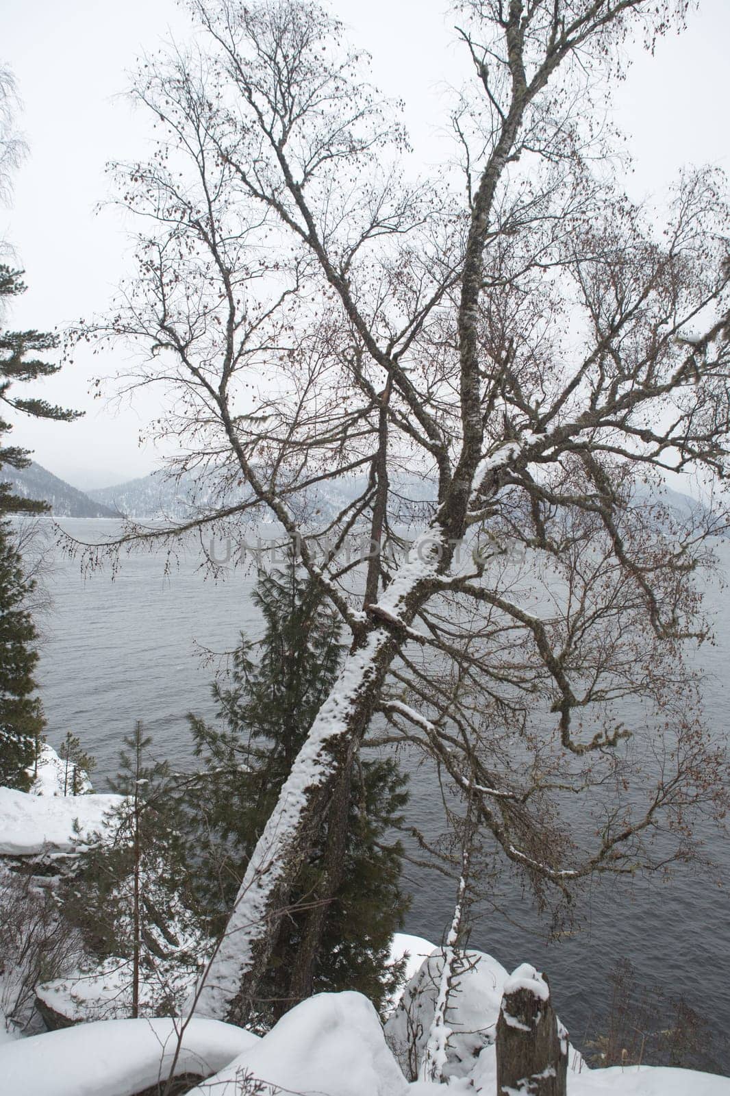 unfrozen Lake Teletskoye in winter. Russia Altai Krai.