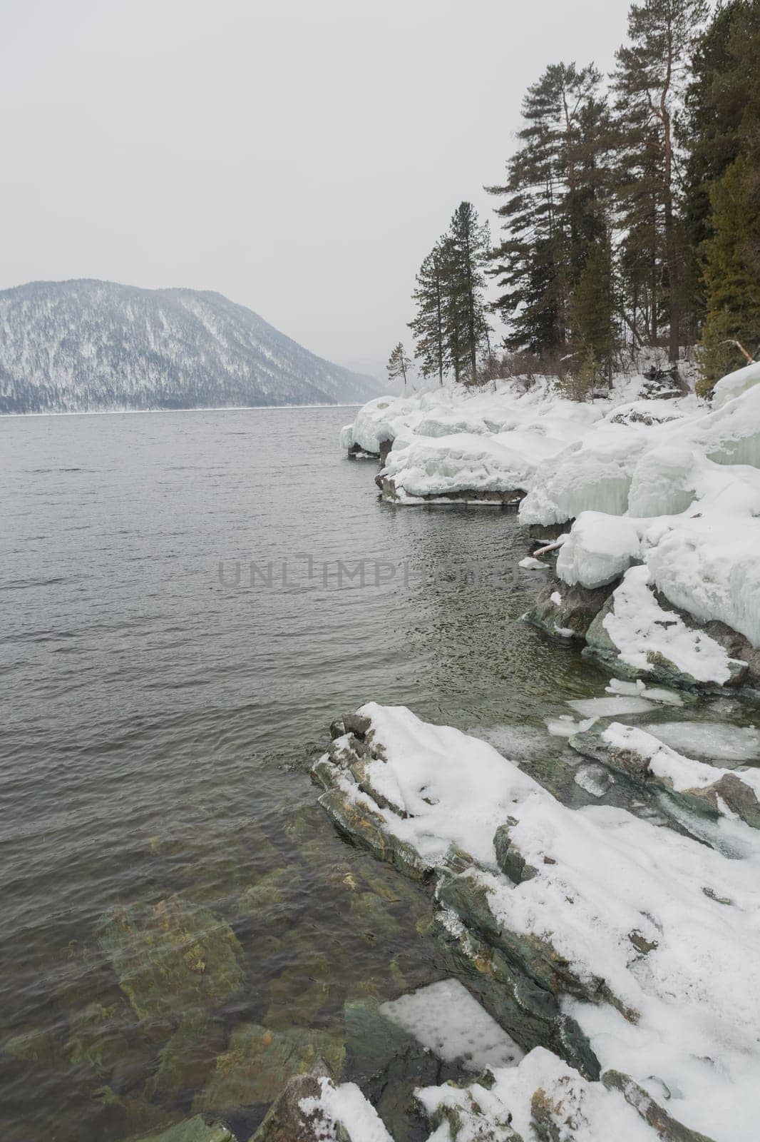 unfrozen Lake Teletskoye in winter. Russia Altai Krai.