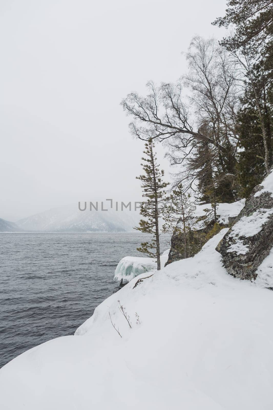 unfrozen Lake Teletskoye in winter. Russia Altai Krai.
