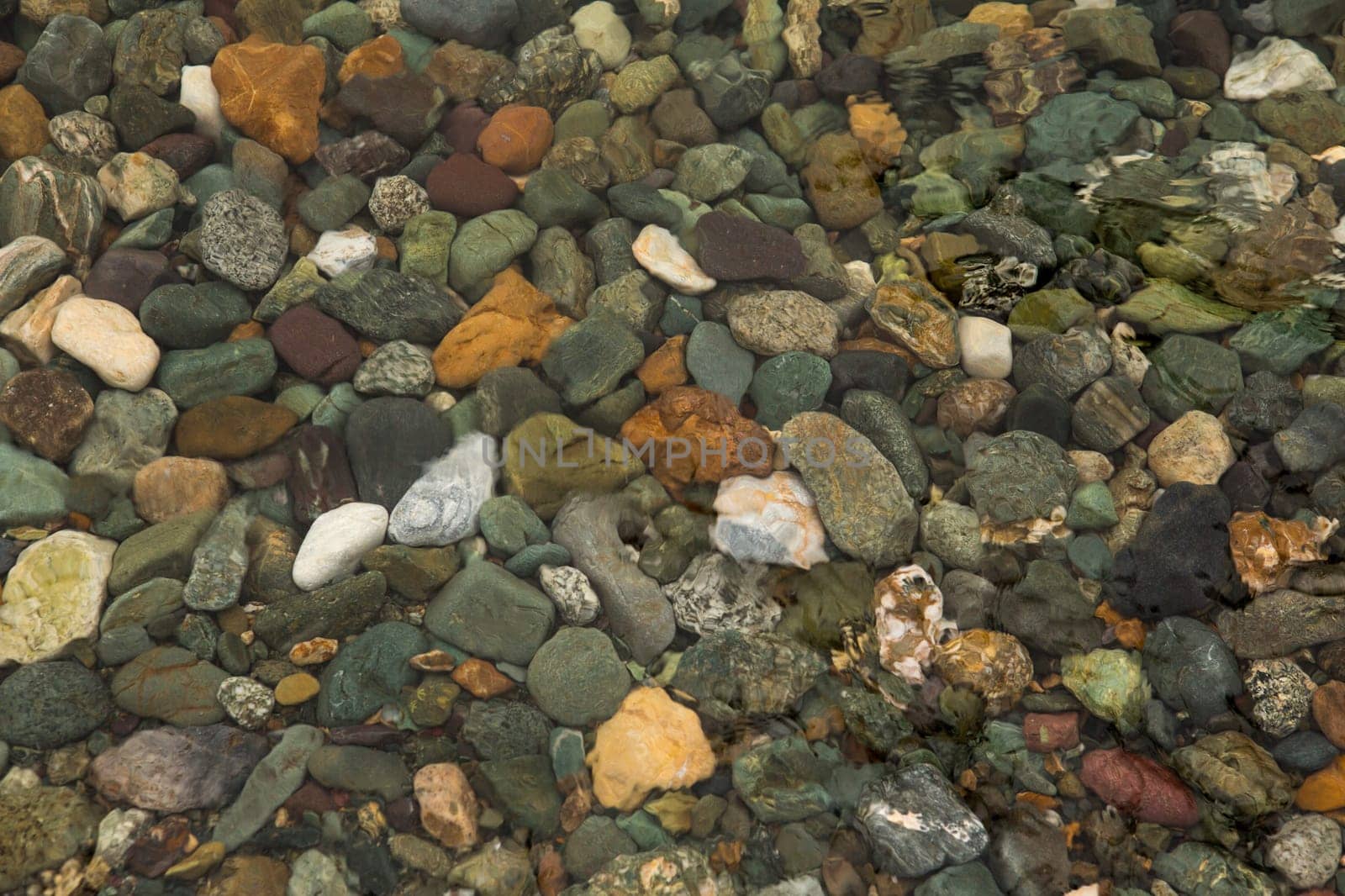 crystal clear water on Lake Teletskoye, through which you can see the stones lying on the bottom.Russia, Altai Krai.