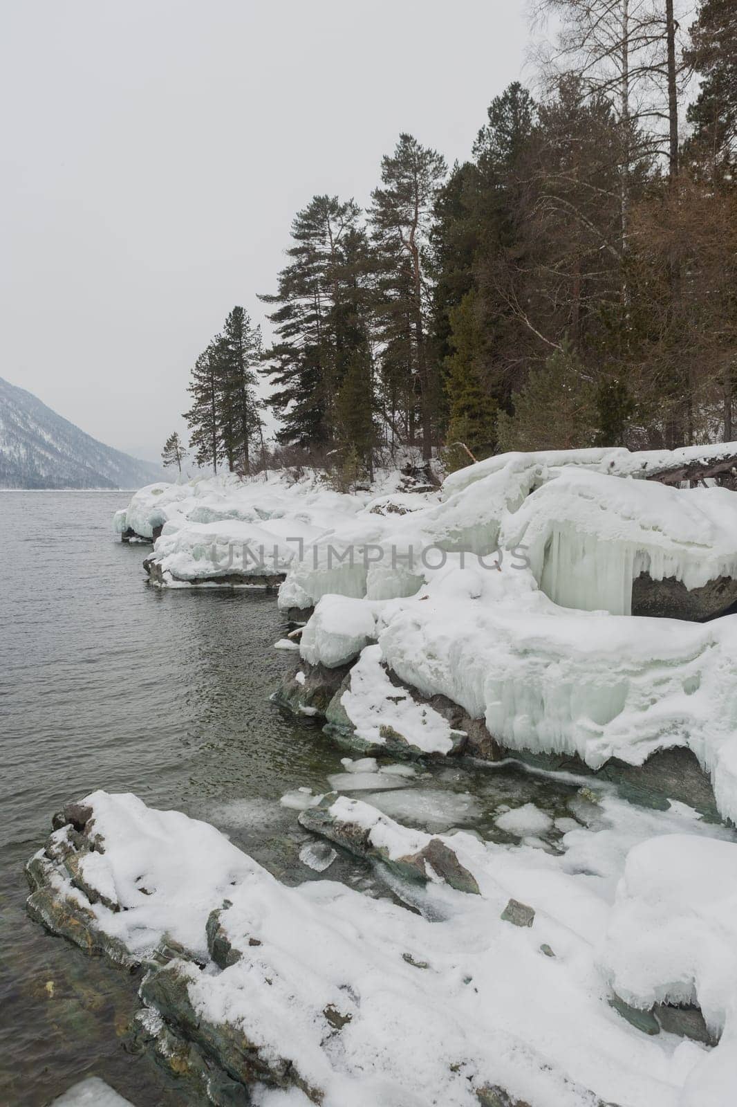 unfrozen Lake Teletskoye in winter. Russia Altai Krai.